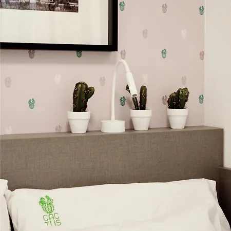 Lido Cactus Balatonlelle